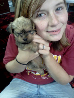 puppies5.jpg